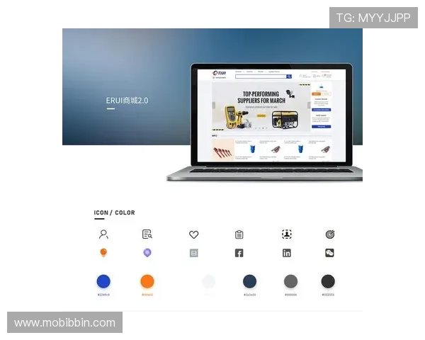 BBIN国际站用户体验优化策略及常见问题解决方案