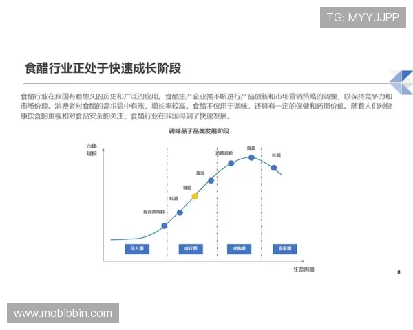 bbin评级网在行业中的竞争优势及未来发展战略分析