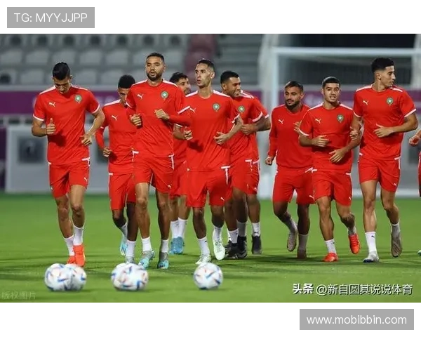 世界杯苏格兰摩洛哥比赛交通攻略，详解赛场周边交通状况与出行建议